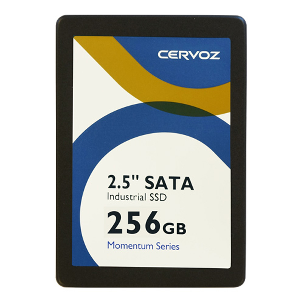 SATA-SSD CIS-2SM310TLD256GW